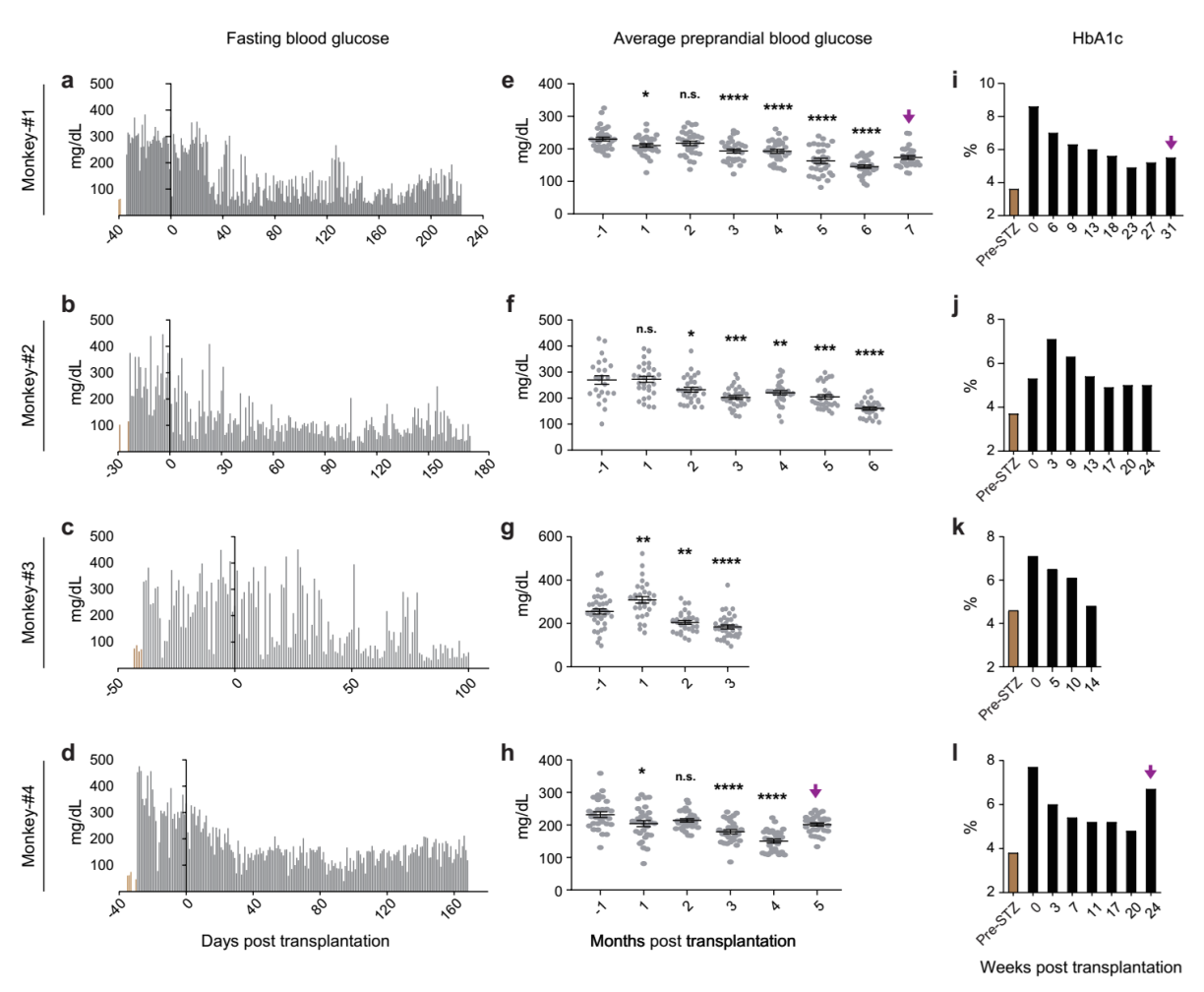 aa6d80ba70844a38a7f13490be2b516d.png aa6d80ba70844a38a7f13490be2b516d.png