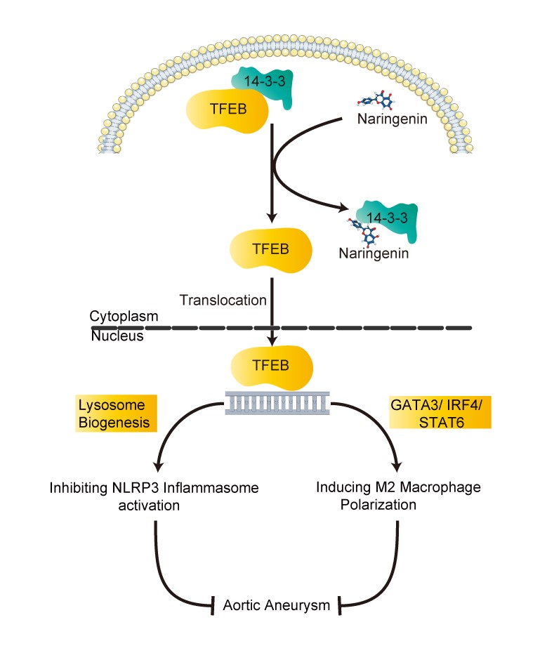 8ef4ca1833374467a49e9f5177cb20ae.jpg 0302孔.jpg