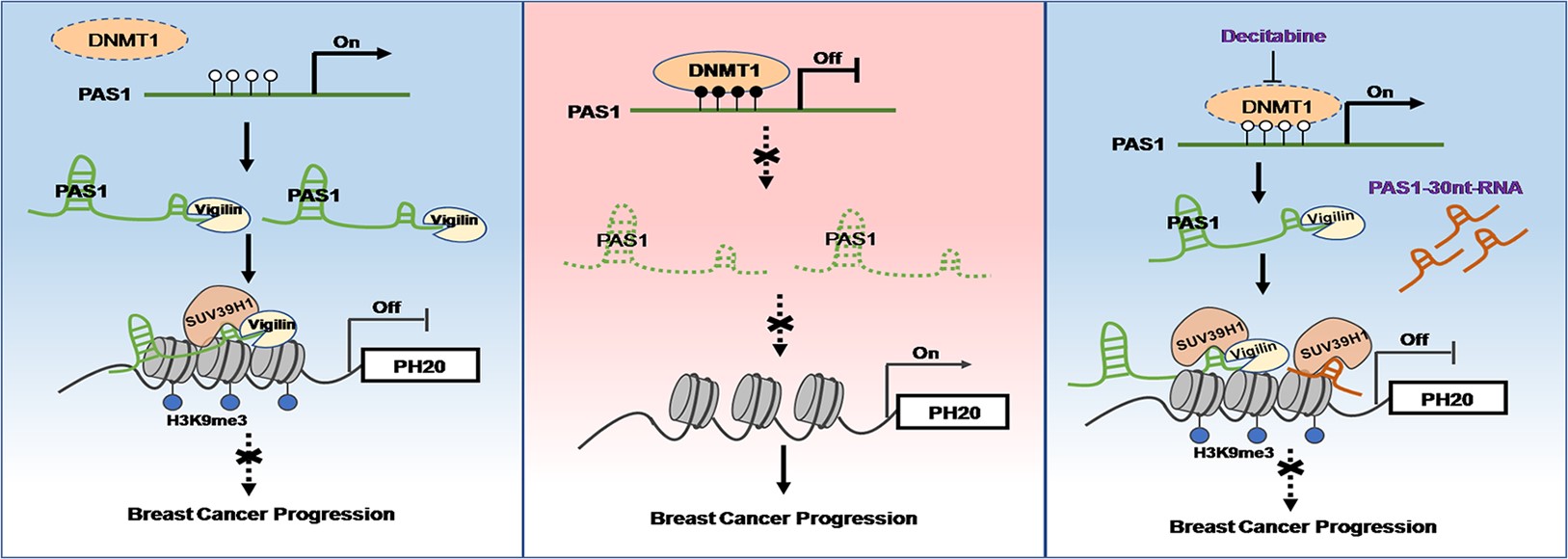 d564fd3dd455451eb5c9bc17e0f0de80.jpg d564fd3dd455451eb5c9bc17e0f0de80.jpg