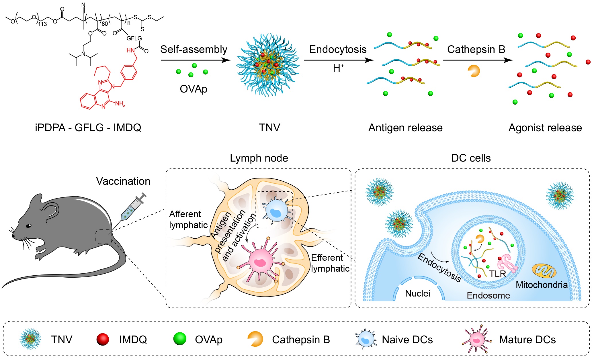 db474bcfaf254eae8cd995bfb050fb4f.jpg db474bcfaf254eae8cd995bfb050fb4f.jpg