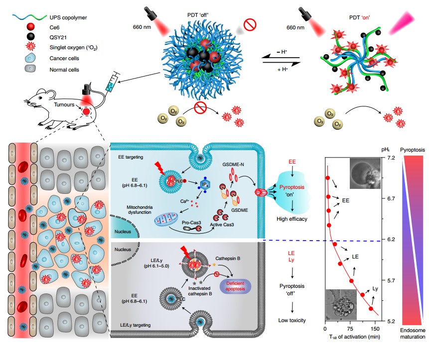 57f27a50149f48e4a4f8edbf5186d7c1.jpg 57f27a50149f48e4a4f8edbf5186d7c1.jpg