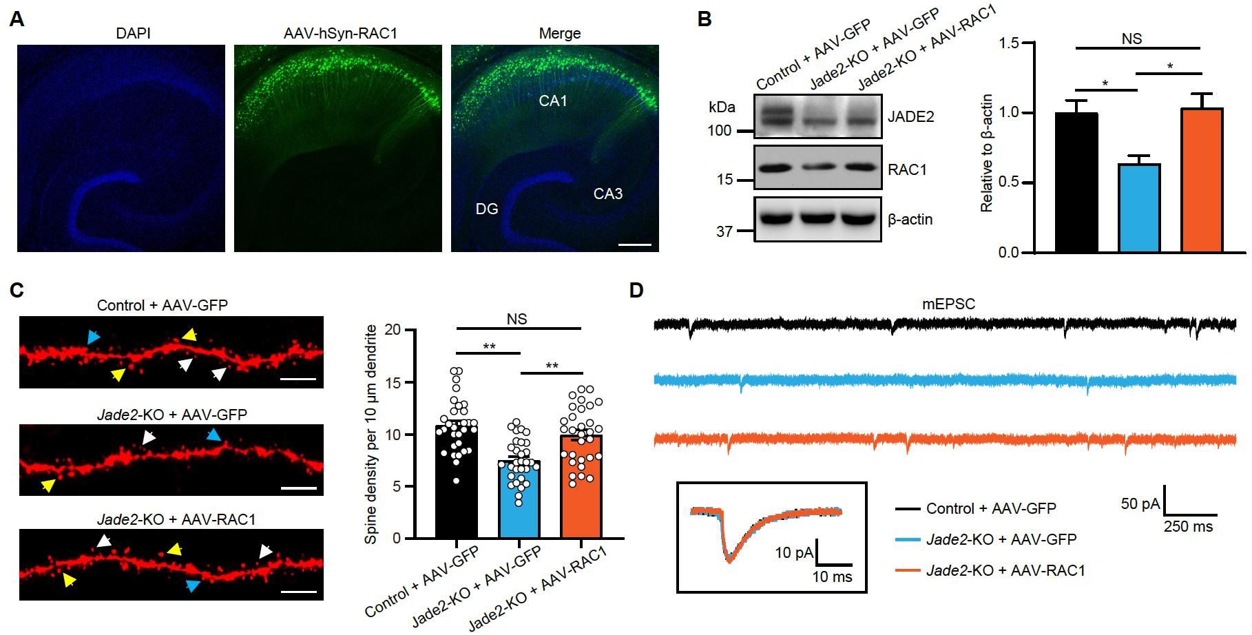be28087de90c461581f3514941009726.jpg be28087de90c461581f3514941009726.jpg