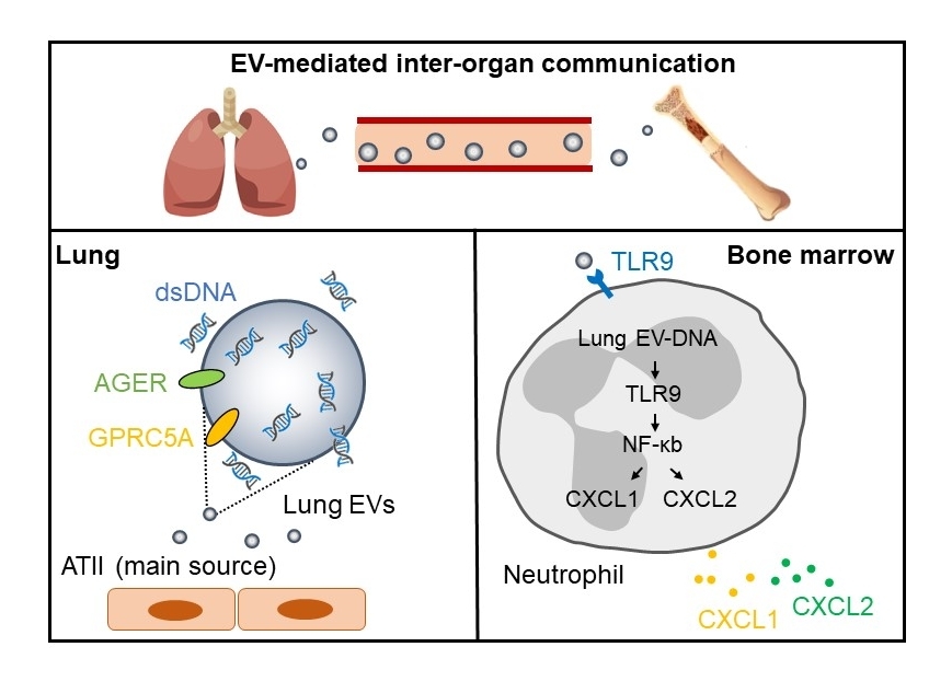 f0abba16ebab4d2b94ba0f40d64b3944.jpg f0abba16ebab4d2b94ba0f40d64b3944.jpg