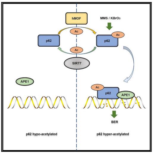 017526a8aa9f4d8da82aa22a225c32cd.jpg 罗2.jpg