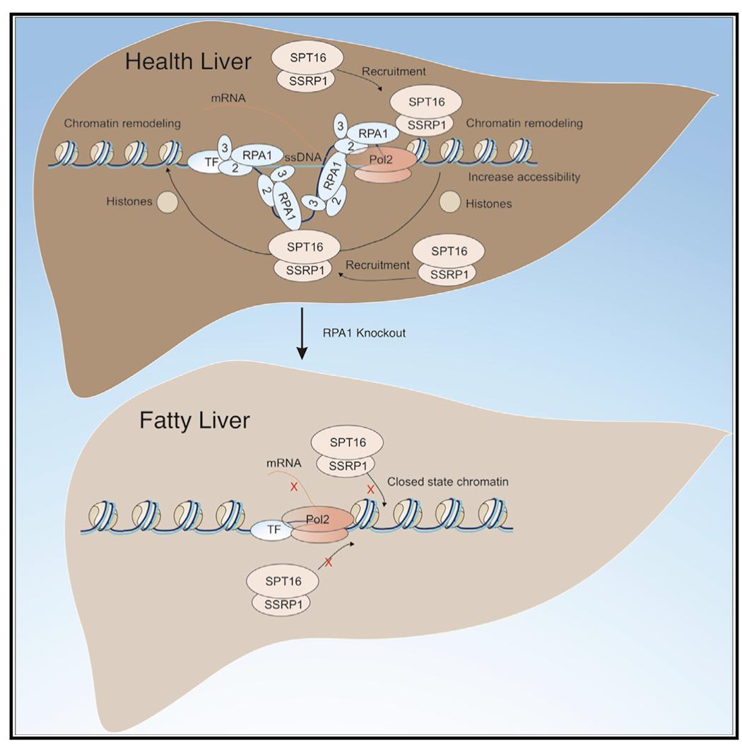 9613409bf31f45eebd702b6c6633cea8.jpg 9613409bf31f45eebd702b6c6633cea8.jpg