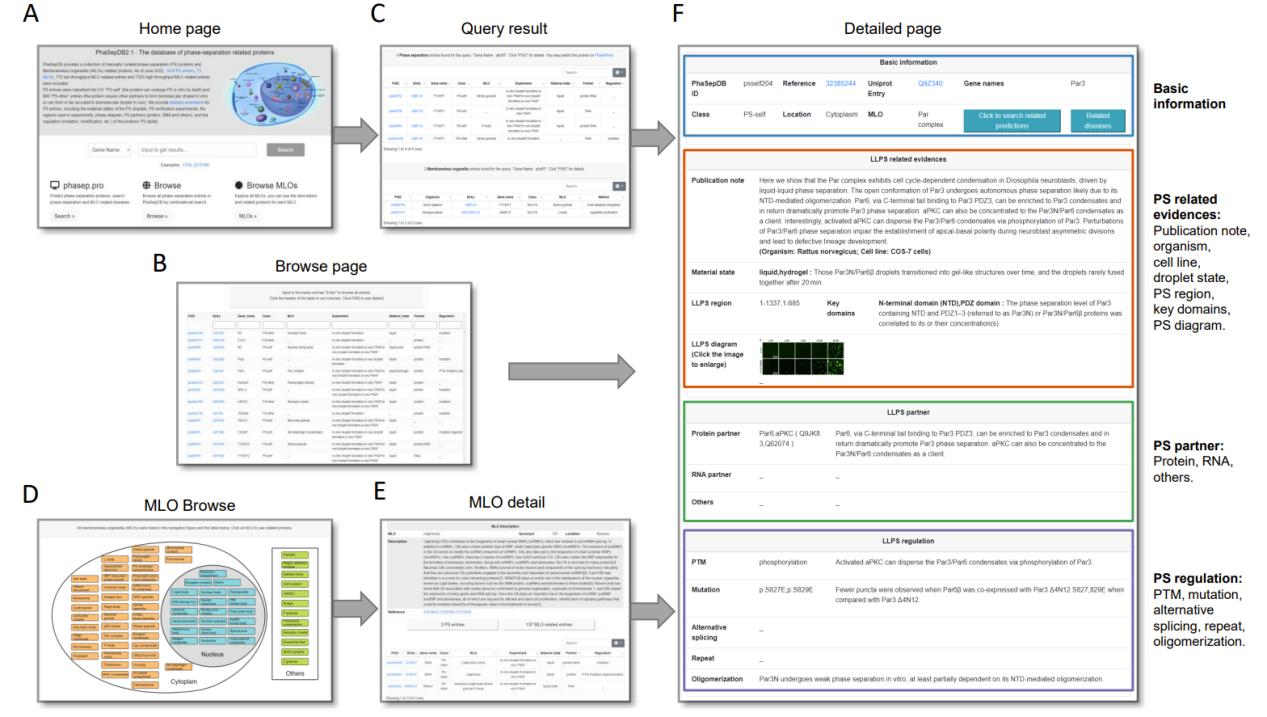 fbbe98f55d304e508feb70810d4ee3e2.jpg fbbe98f55d304e508feb70810d4ee3e2.jpg