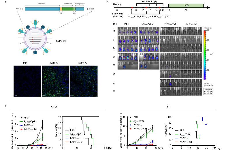 6430ed9d76b84f9ba530200f04e3bc55.png 6430ed9d76b84f9ba530200f04e3bc55.png