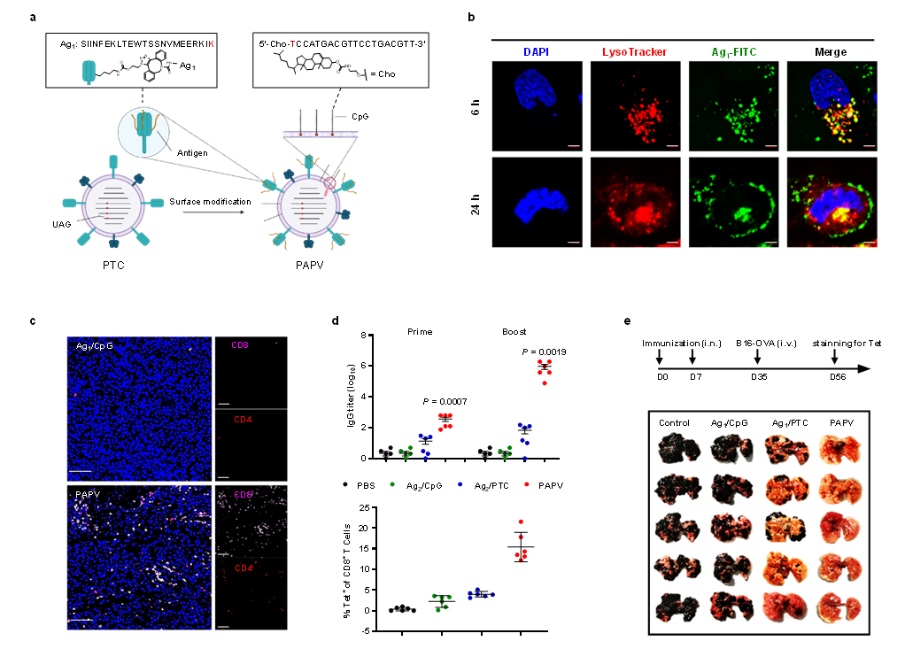 ffa7d78db6414e609d556701c4e6bb59.png ffa7d78db6414e609d556701c4e6bb59.png