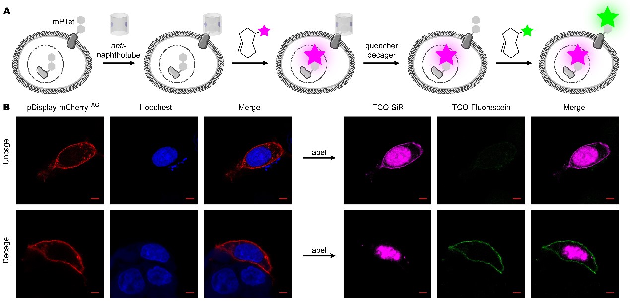0b9120454f954009829709e1812af51b.jpg 0b9120454f954009829709e1812af51b.jpg