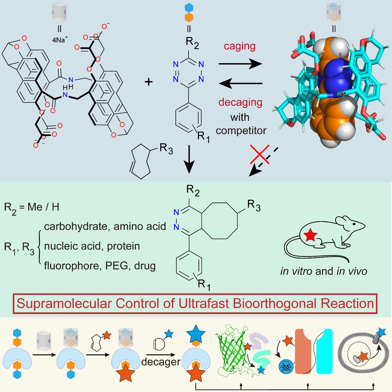 c3eb4bd8ea774d5480bea60251fbcb51.jpg c3eb4bd8ea774d5480bea60251fbcb51.jpg