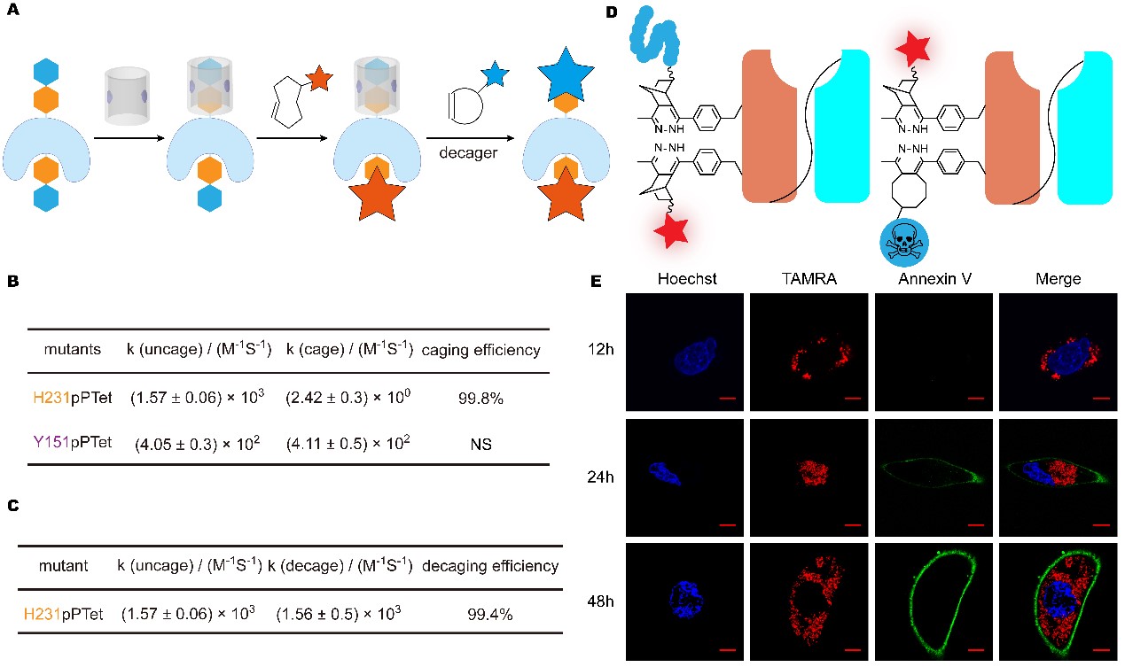 e0448269f1244fd1b5a9b3e3ef1935c9.jpg e0448269f1244fd1b5a9b3e3ef1935c9.jpg