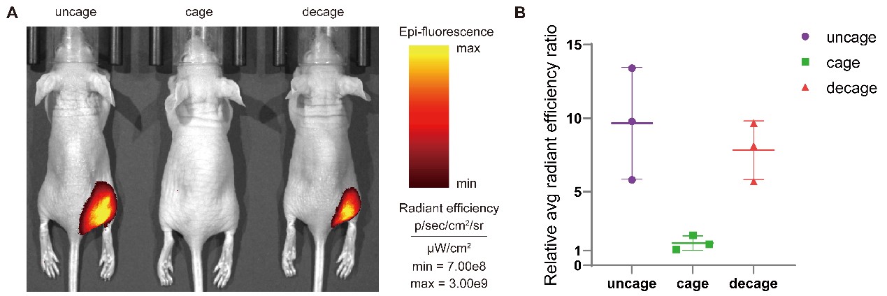 ecc12117ae4b45a1b947c296c4b9b840.jpg ecc12117ae4b45a1b947c296c4b9b840.jpg