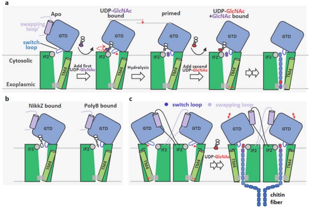 f106e45316fe4dcdaf90f0d817a2c7b4.jpg f106e45316fe4dcdaf90f0d817a2c7b4.jpg