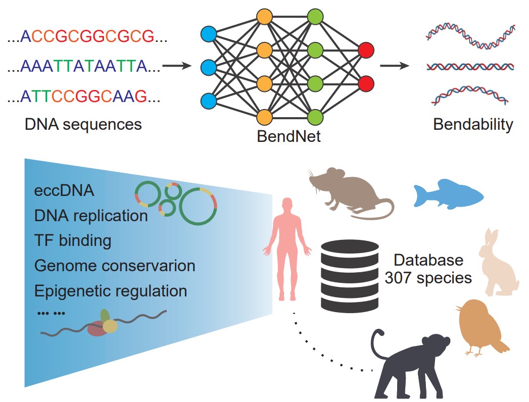 c0445a77e6ac433aab56ad6e4de06c99.jpg c0445a77e6ac433aab56ad6e4de06c99.jpg