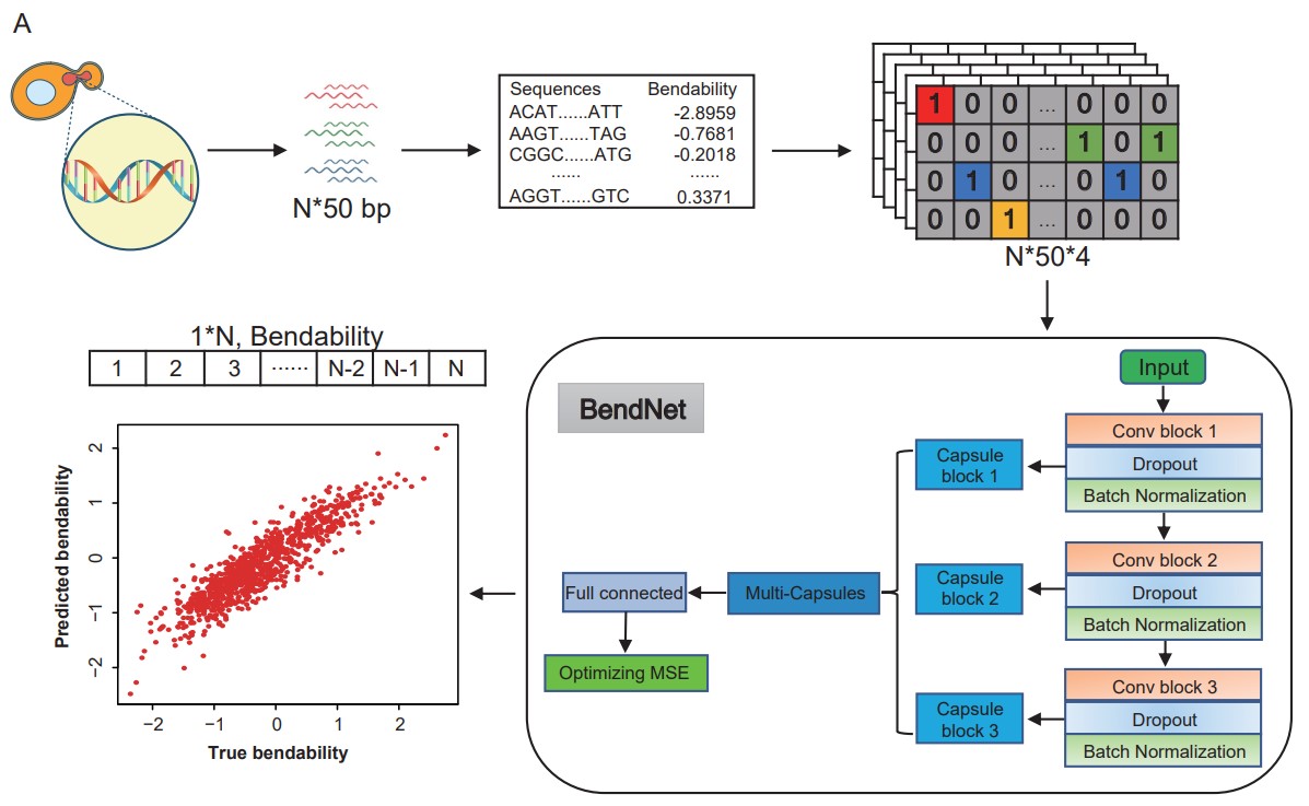 f272045636c9412ab4d8b5337319c18d.jpg f272045636c9412ab4d8b5337319c18d.jpg