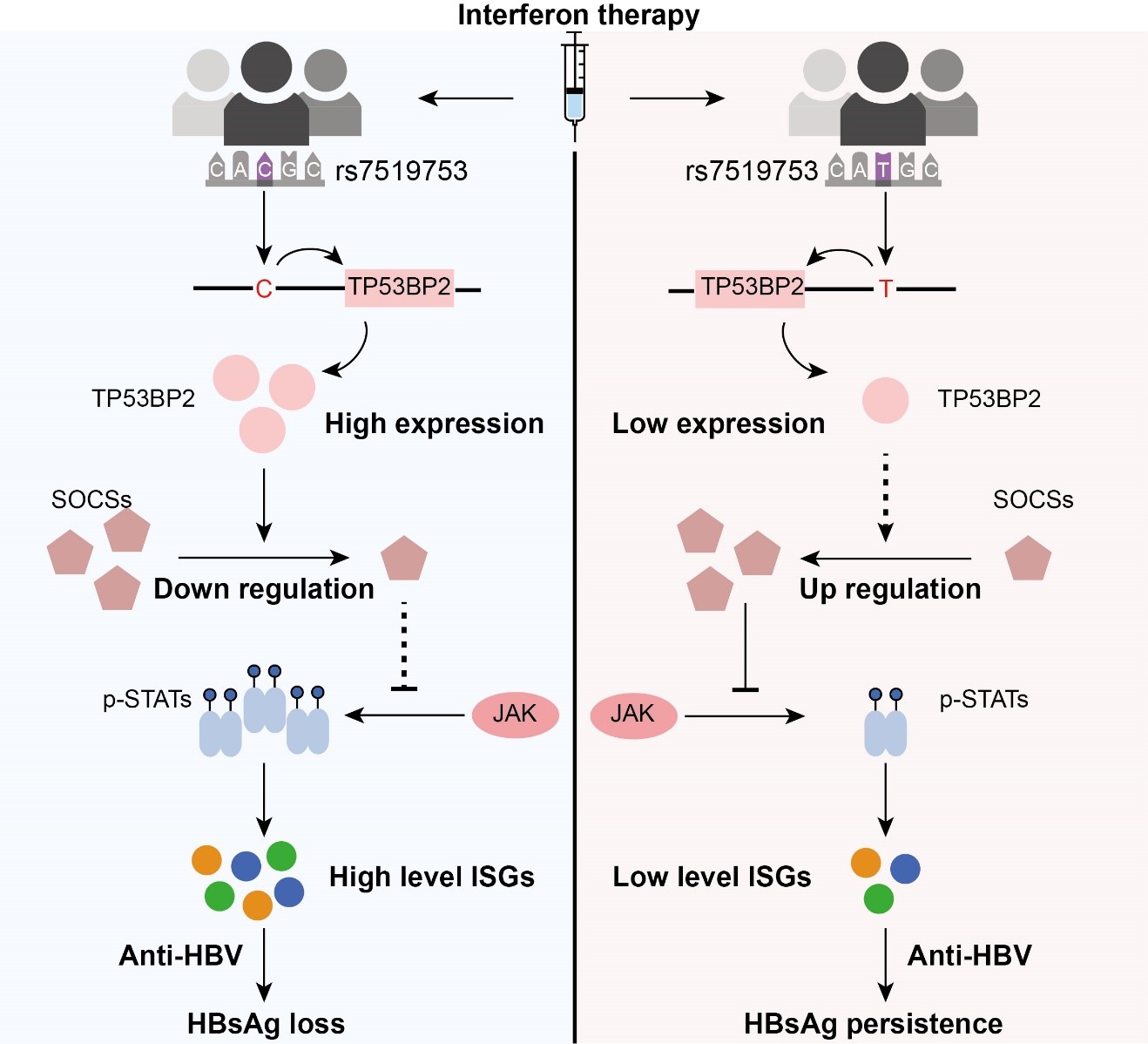 567760b3cf274165a47783f32e67b5a6.jpg 567760b3cf274165a47783f32e67b5a6.jpg