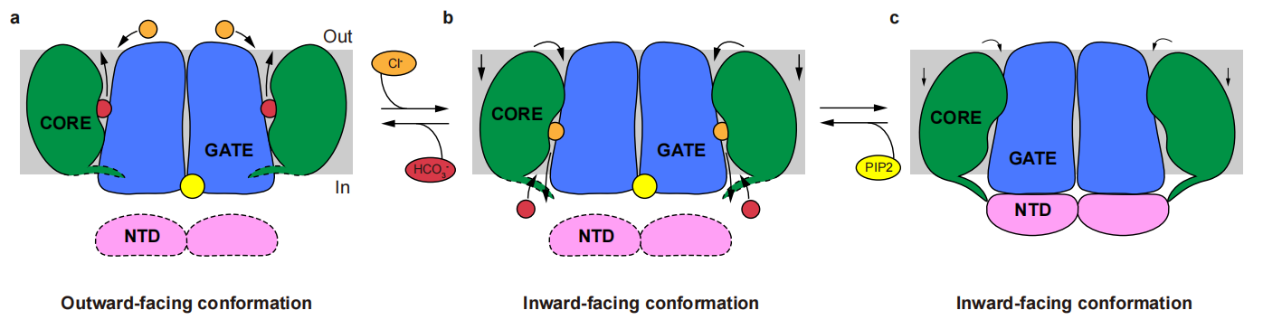 fe33a1a6509446e983893f9a013e06b5.png fe33a1a6509446e983893f9a013e06b5.png