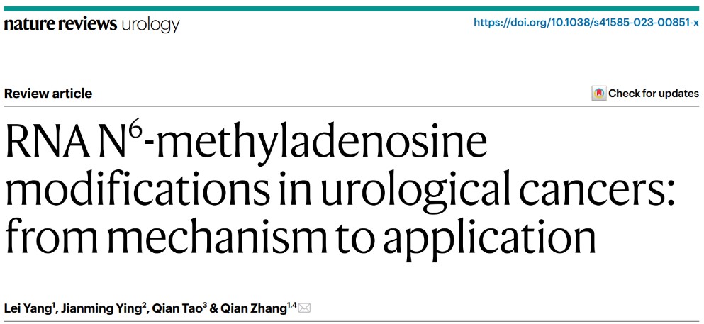 403713130b1b4d77b862999fee4eed4e.jpg 403713130b1b4d77b862999fee4eed4e.jpg