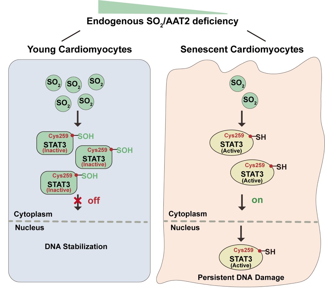 5a43f3453e7d4efea71833fbe653b573.jpg 5a43f3453e7d4efea71833fbe653b573.jpg