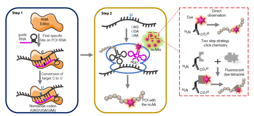 896f4b32440f484bab2bd5c55a89d1c0.png 896f4b32440f484bab2bd5c55a89d1c0.png