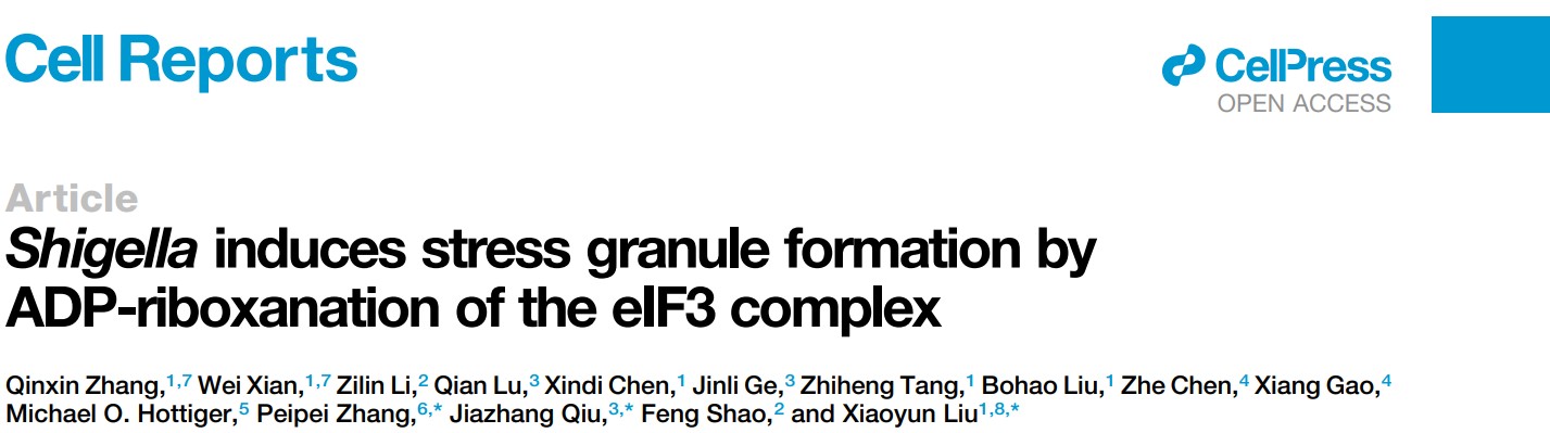 9a24ab63ce554e7184a4fa35cc7ac85d.jpg 9a24ab63ce554e7184a4fa35cc7ac85d.jpg