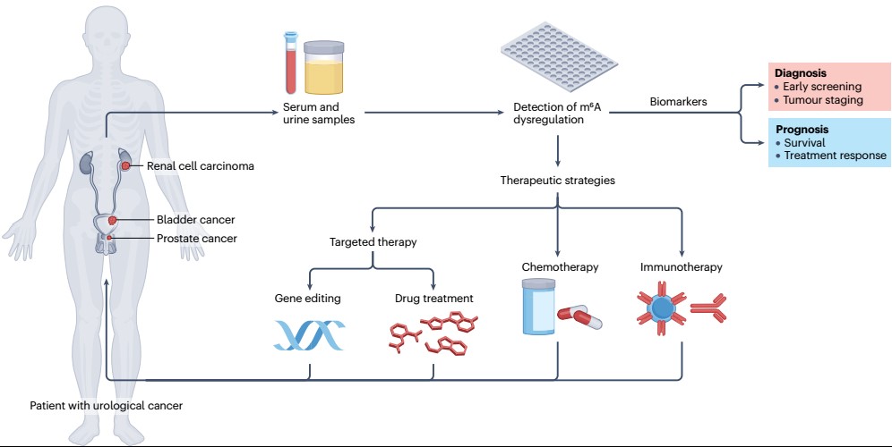 d7445ad3e7ae46f0ae304dd2d0084384.jpg d7445ad3e7ae46f0ae304dd2d0084384.jpg