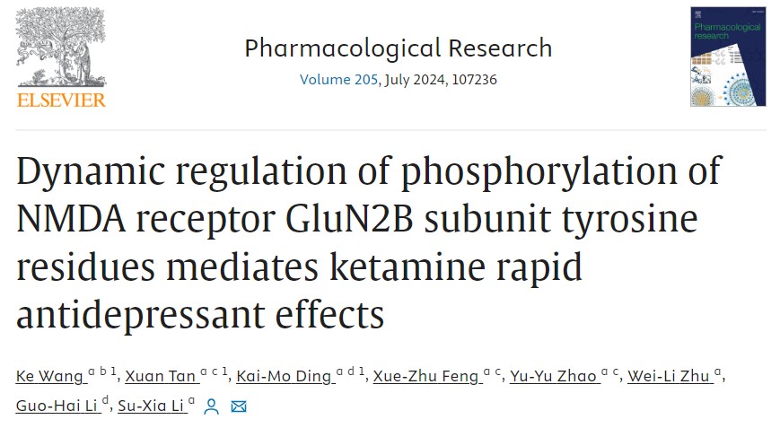 fc8d48ddd3ed48fd93c1e9a1eab5c245.jpg fc8d48ddd3ed48fd93c1e9a1eab5c245.jpg