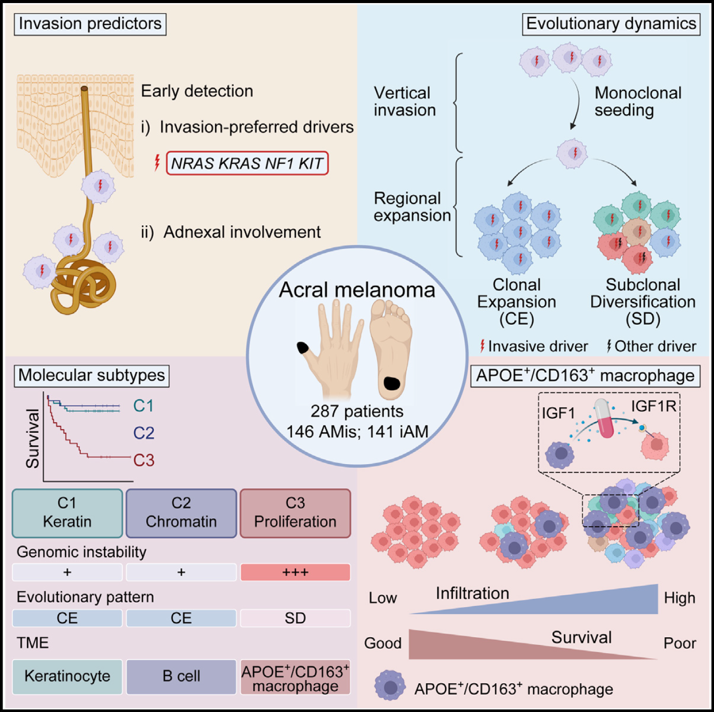 c2f221b00c964f8d96516e97e5ea24f7.png c2f221b00c964f8d96516e97e5ea24f7.png