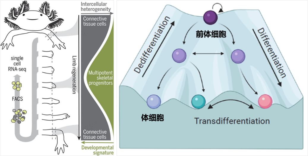 687fe1ace5324c23b52e1bf2ad2ce9a8.png 687fe1ace5324c23b52e1bf2ad2ce9a8.png