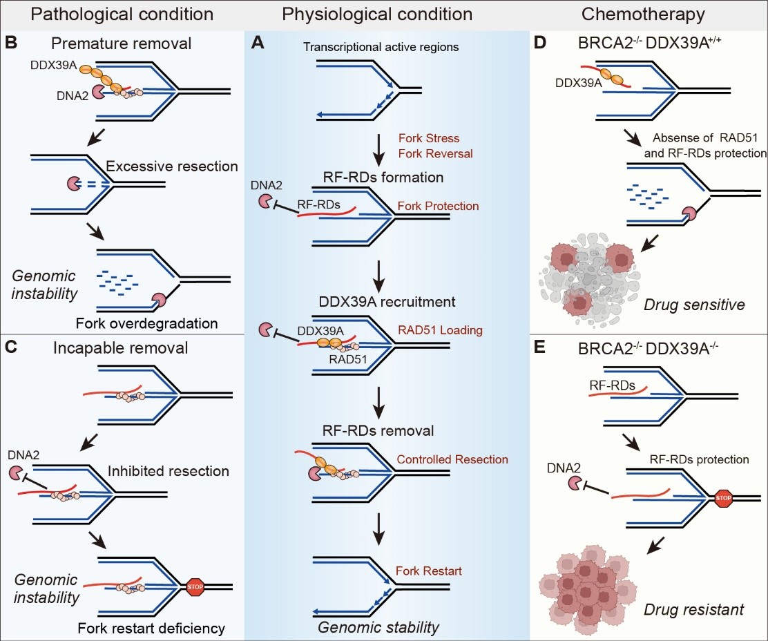 3779f9bd381347a7ae3ae163c54da98a.jpg 3779f9bd381347a7ae3ae163c54da98a.jpg