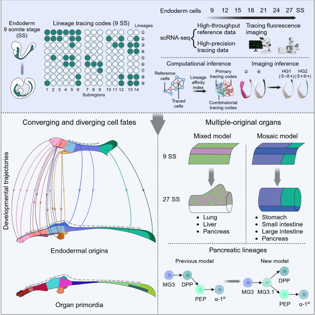 0a7896d3570e448d8ef913e07d5ba8a4.jpg 0a7896d3570e448d8ef913e07d5ba8a4.jpg