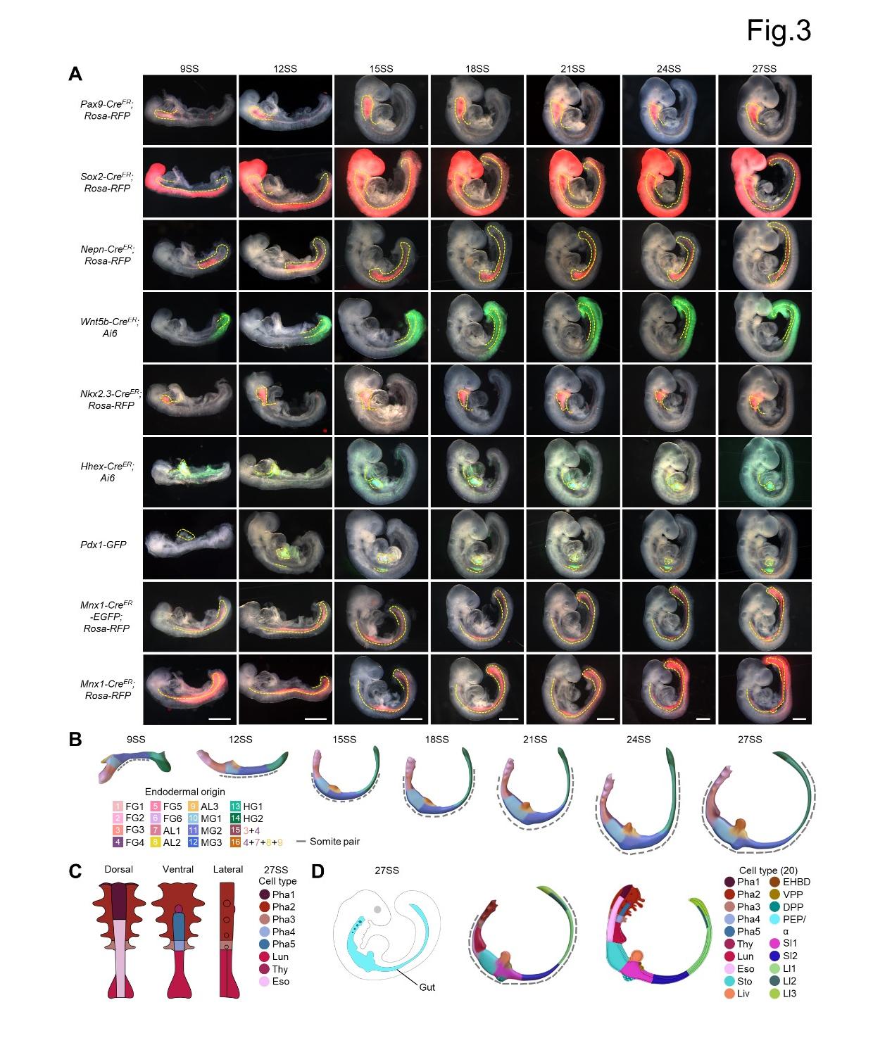 7a71f1d10093476fa6bb295392cdaa10.jpg 7a71f1d10093476fa6bb295392cdaa10.jpg