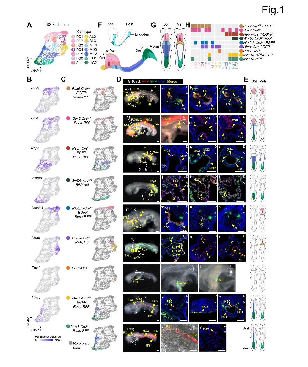 c2af20c4bd924da28475a250aaddaefa.jpg c2af20c4bd924da28475a250aaddaefa.jpg