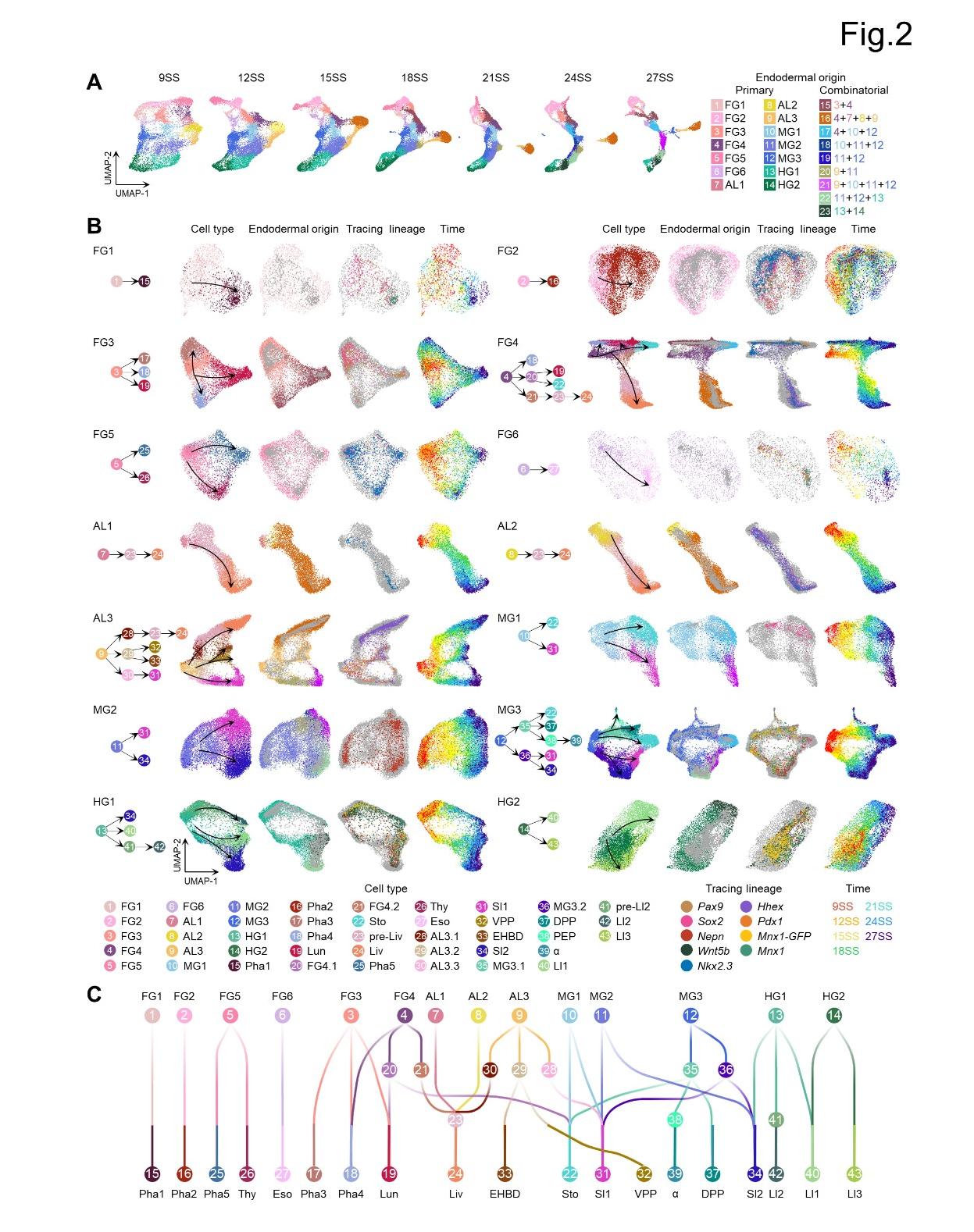 ddfbf1047c1147dab8460641dee4a00e.jpg ddfbf1047c1147dab8460641dee4a00e.jpg